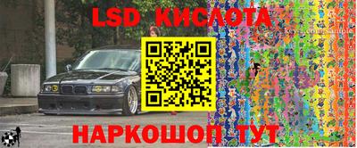 прущие крисы Гай