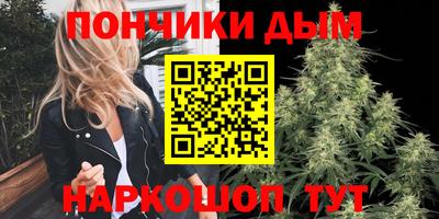 прущие крисы Гай