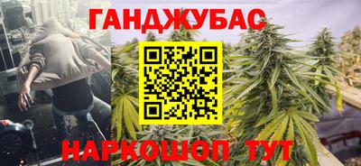 прущие крисы Гай