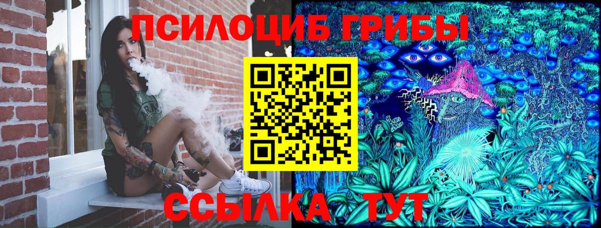 Дальнегорск  Псилоцибиновые грибы ЛСД  где купить наркоту  Вход с VPN 
