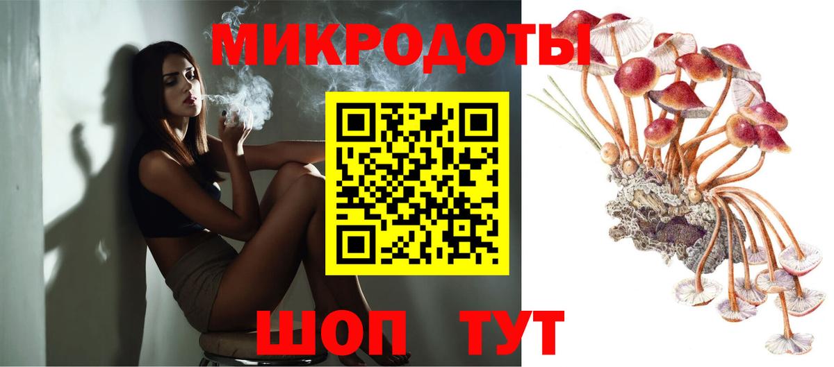 Псилоцибиновые грибы GOLDEN TEACHER Дальнегорск